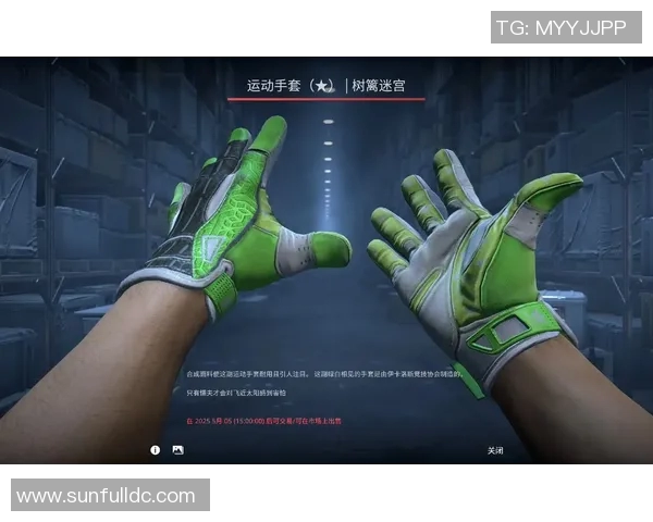 CSGO耐力排行榜最新发布V5战队稳居第一引发关注