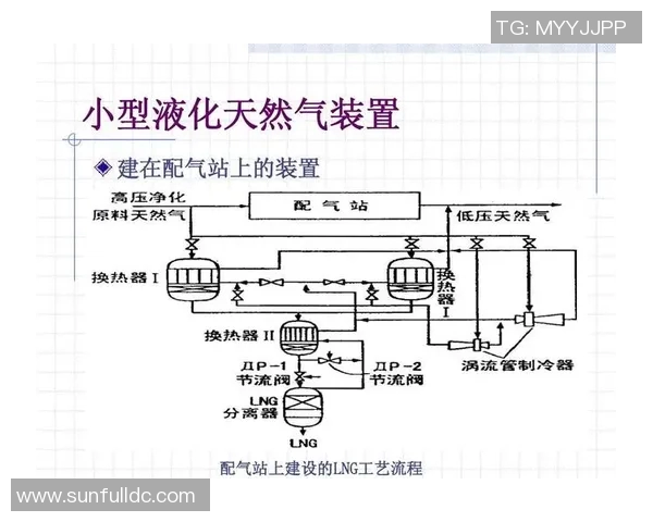 LNG战术引发热议分析团队配合与个人表现的矛盾与挑战