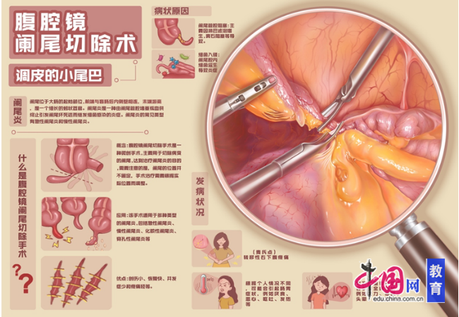 pg电子娱乐官网电子科技大学成都学院门生获天下医门生剖解学画图大赛一等奖(图3)